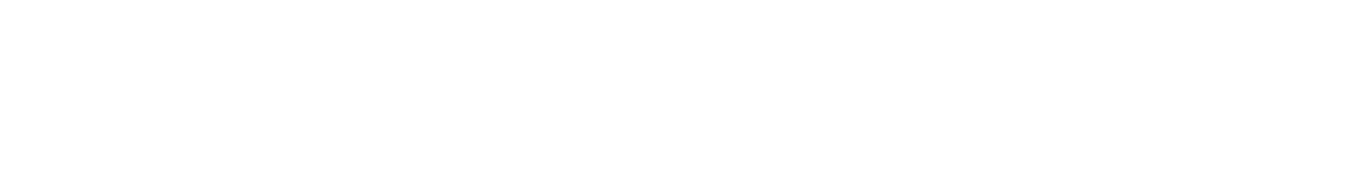 Eversynths Logo